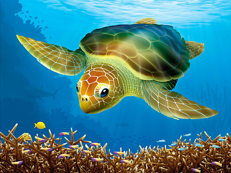 Loggerhead Turtle