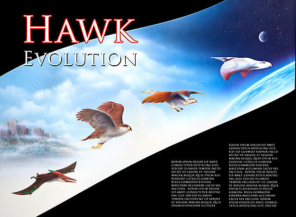 Hawk Evolution